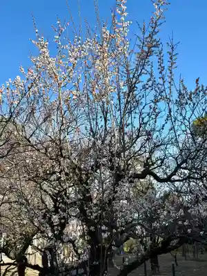意賀美神社(大阪府)