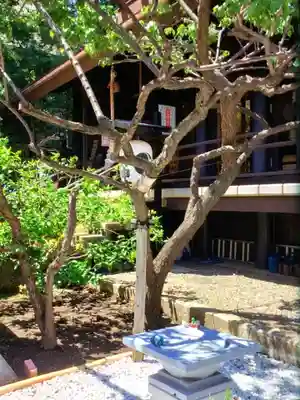 高円寺氷川神社(東京都)
