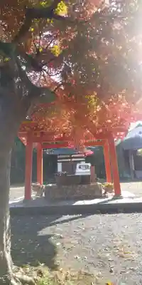 佐久奈度神社の自然