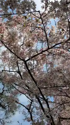 頂法寺（六角堂）(京都府)