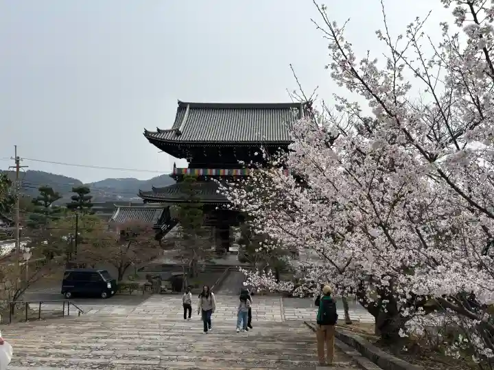 くろ谷 金戒光明寺の{uncategorized: "未分類", other: "その他", undefined: "問題あり", building: "その他建物", grave: "お墓", sacred_gate: "鳥居", guardian: "狛犬", statue: "像", buddha: "仏像", history: "歴史", nature: "自然", garden: "庭園", animal: "動物", pagoda: "塔", temizu: "手水舎", mountain_gate: "山門・神門", sanctuary: "本殿・本堂", subordinate: "末社・摂社", art: "芸術", scenery: "景色", jizo: "地蔵", ema: "絵馬", goshuin: "御朱印", omikuji: "おみくじ", items: "授与品その他", amulet: "お守り", goshuincho: "御朱印帳", eats: "食事", festival: "お祭り", votive_dance: "神楽", shichigosan: "七五三参", wedding: "結婚式", experience: "体験その他", initially: "初詣", around: "周辺", anti_infection: "感染症対策"}