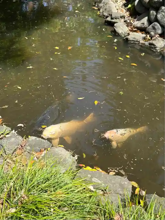 玉村八幡宮(群馬県)