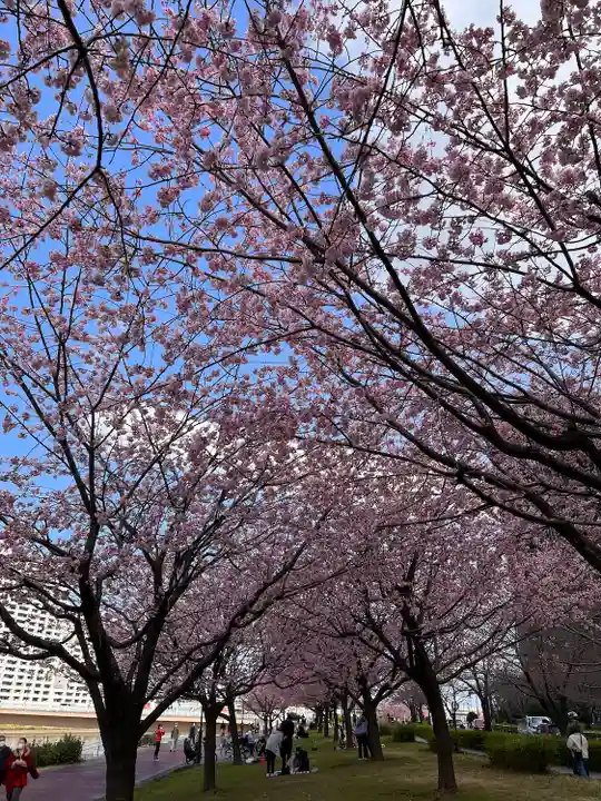 石濱神社の自然