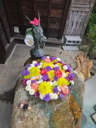 御井神社の{uncategorized: "未分類", other: "その他", undefined: "問題あり", building: "その他建物", grave: "お墓", sacred_gate: "鳥居", guardian: "狛犬", statue: "像", buddha: "仏像", history: "歴史", nature: "自然", garden: "庭園", animal: "動物", pagoda: "塔", temizu: "手水舎", mountain_gate: "山門・神門", sanctuary: "本殿・本堂", subordinate: "末社・摂社", art: "芸術", scenery: "景色", jizo: "地蔵", ema: "絵馬", goshuin: "御朱印", omikuji: "おみくじ", items: "授与品その他", amulet: "お守り", goshuincho: "御朱印帳", eats: "食事", festival: "お祭り", votive_dance: "神楽", shichigosan: "七五三参", wedding: "結婚式", experience: "体験その他", initially: "初詣", around: "周辺", anti_infection: "感染症対策"}