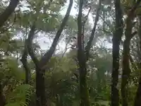 浅間神社(東京都)
