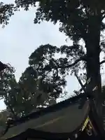 鹿島神宮(茨城県)