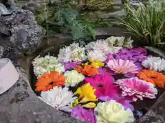 玉眞院玉川大師の手水