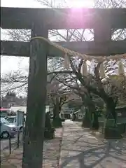 前玉神社の鳥居