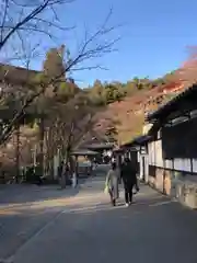 清水寺(京都府)