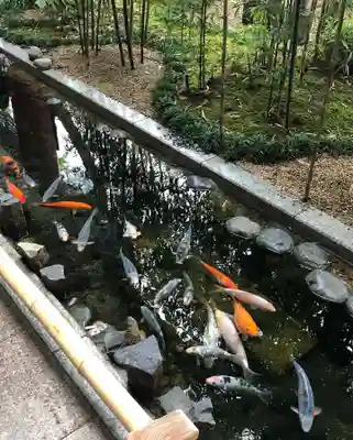 秩父神社(埼玉県)