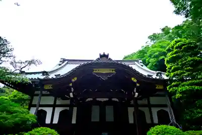 妙本寺(神奈川県)