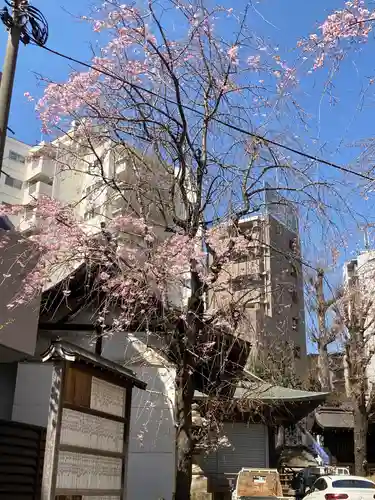 池尻稲荷神社(東京都)