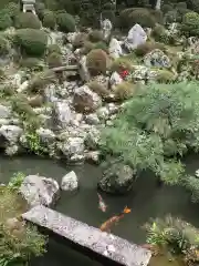 柳谷観音　楊谷寺の庭園