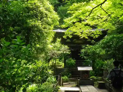 黄梅院（円覚寺塔頭）の庭園