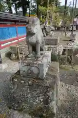 飛騨天満宮の狛犬