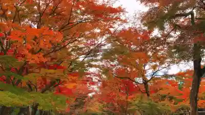 興聖寺（興聖寶林禅寺）(京都府)