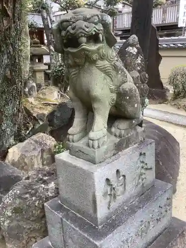 秋葉山圓通寺の狛犬