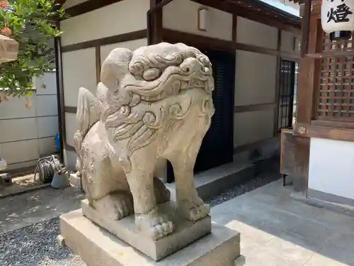 須佐之男神社の狛犬