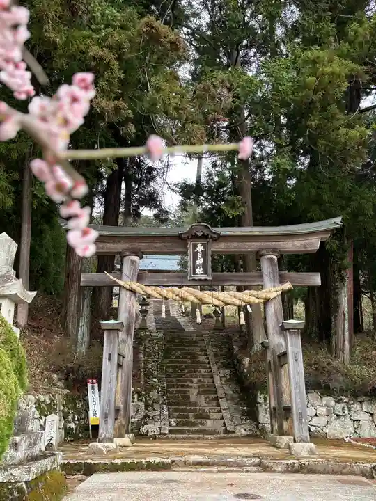 春日神社の鳥居