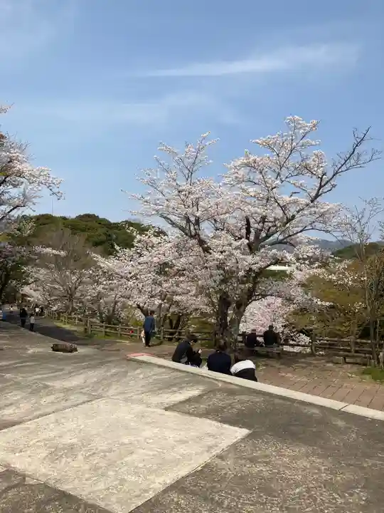 消防神社(秋葉神社)の周辺