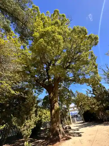 比賣久波神社(奈良県)