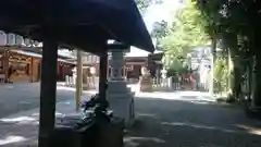 星川杉山神社の手水