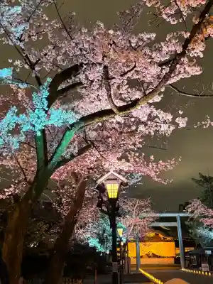 靖國神社(東京都)