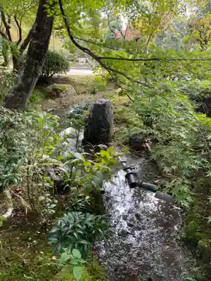 法金剛院(京都府)