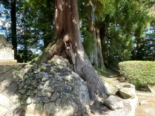 湯立神社(奈良県)