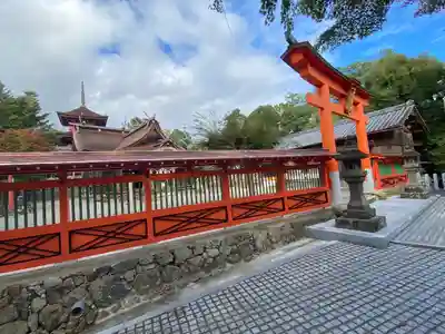 柏原八幡宮(兵庫県)