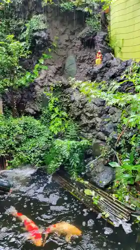 吉原弁財天本宮（吉原神社奥宮）の動物