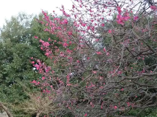 森巌寺のその他建物