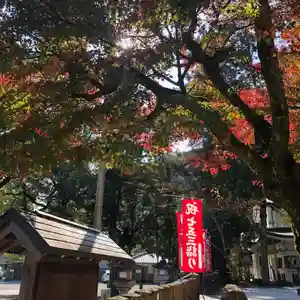 公智神社(兵庫県)(2022年11月11日(金) 12時12分55秒投稿)