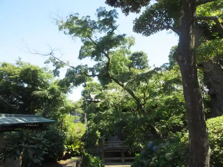 護国寺(東京都)