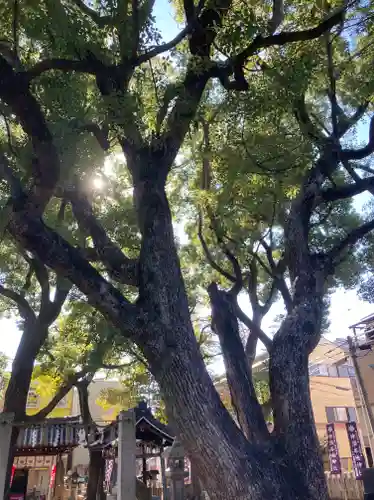 神須牟地神社(大阪府)