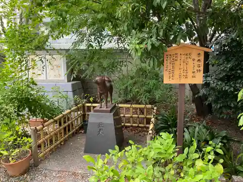 蔵前神社の狛犬