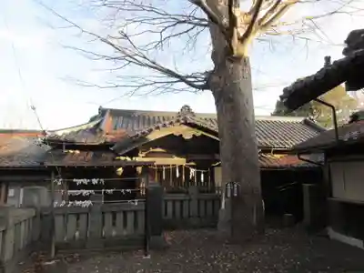 多賀神社の本殿・本堂