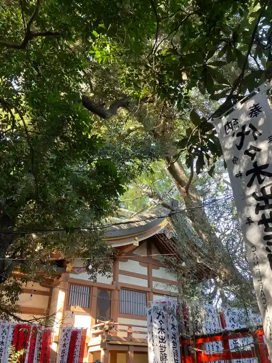 代々木八幡宮(東京都)