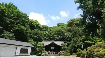 武州白子熊野神社の本殿・本堂