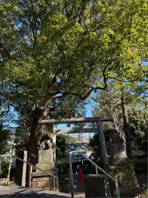 細山神明社(神奈川県)