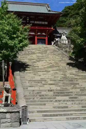 鶴岡八幡宮の本殿