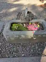 仙波東照宮の{uncategorized: "未分類", other: "その他", undefined: "問題あり", building: "その他建物", grave: "お墓", sacred_gate: "鳥居", guardian: "狛犬", statue: "像", buddha: "仏像", history: "歴史", nature: "自然", garden: "庭園", animal: "動物", pagoda: "塔", temizu: "手水舎", mountain_gate: "山門・神門", sanctuary: "本殿・本堂", subordinate: "末社・摂社", art: "芸術", scenery: "景色", jizo: "地蔵", ema: "絵馬", goshuin: "御朱印", omikuji: "おみくじ", items: "授与品その他", amulet: "お守り", goshuincho: "御朱印帳", eats: "食事", festival: "お祭り", votive_dance: "神楽", shichigosan: "七五三参", wedding: "結婚式", experience: "体験その他", initially: "初詣", around: "周辺", anti_infection: "感染症対策"}