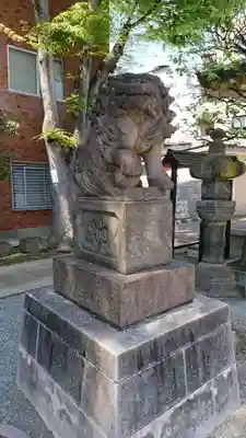 穏田神社の狛犬