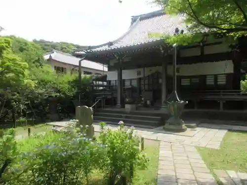 安國論寺（安国論寺）の本殿・本堂