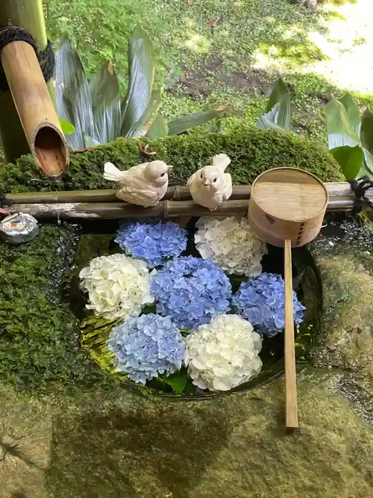 柳谷観音 楊谷寺の御朱印