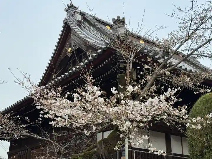 寛永寺(根本中堂)の{uncategorized: "未分類", other: "その他", undefined: "問題あり", building: "その他建物", grave: "お墓", sacred_gate: "鳥居", guardian: "狛犬", statue: "像", buddha: "仏像", history: "歴史", nature: "自然", garden: "庭園", animal: "動物", pagoda: "塔", temizu: "手水舎", mountain_gate: "山門・神門", sanctuary: "本殿・本堂", subordinate: "末社・摂社", art: "芸術", scenery: "景色", jizo: "地蔵", ema: "絵馬", goshuin: "御朱印", omikuji: "おみくじ", items: "授与品その他", amulet: "お守り", goshuincho: "御朱印帳", eats: "食事", festival: "お祭り", votive_dance: "神楽", shichigosan: "七五三参", wedding: "結婚式", experience: "体験その他", initially: "初詣", around: "周辺", anti_infection: "感染症対策"}