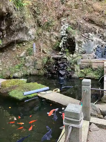 大山寺(神奈川県)