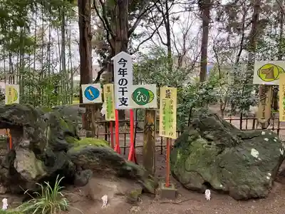 渋川八幡宮(群馬県)