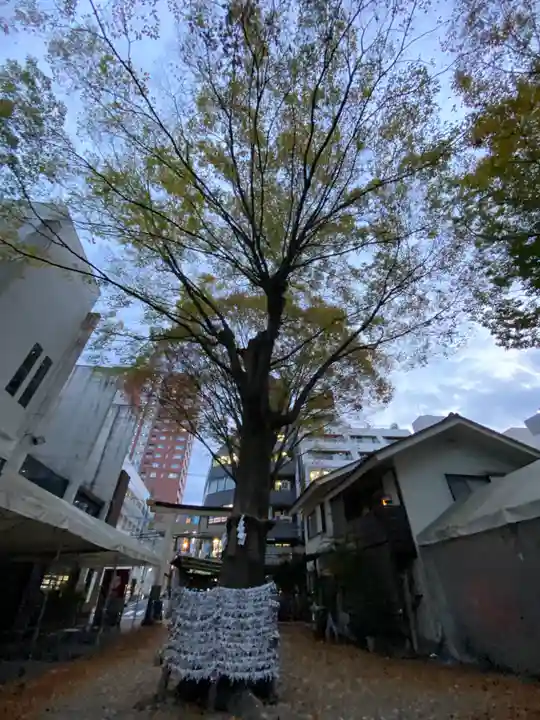 子安神社(東京都)