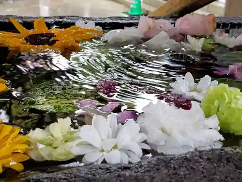 鳩森八幡神社の手水舎